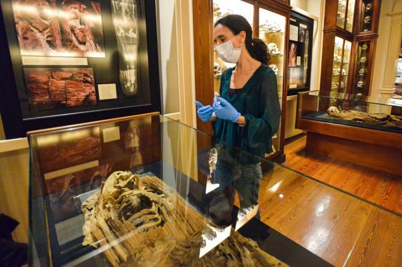 Exposición en el Museo Canario sobre pandemias