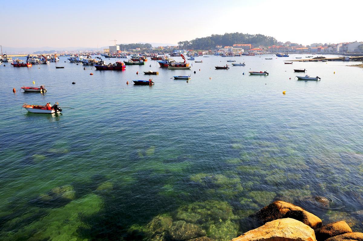 Puerto en Illa de Arousa, Galicia.