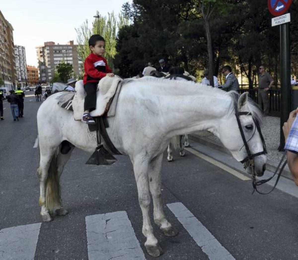 Imágenes de la celebración del Rocío