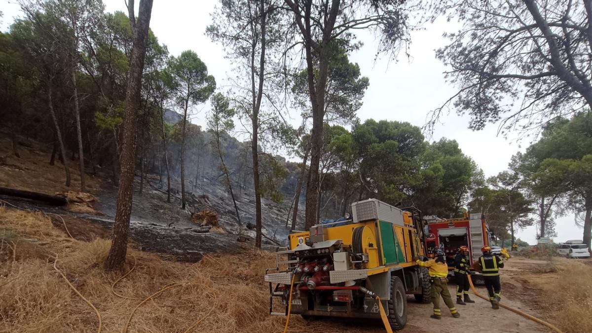 El Infoca controla el incendio forestal en Rute.