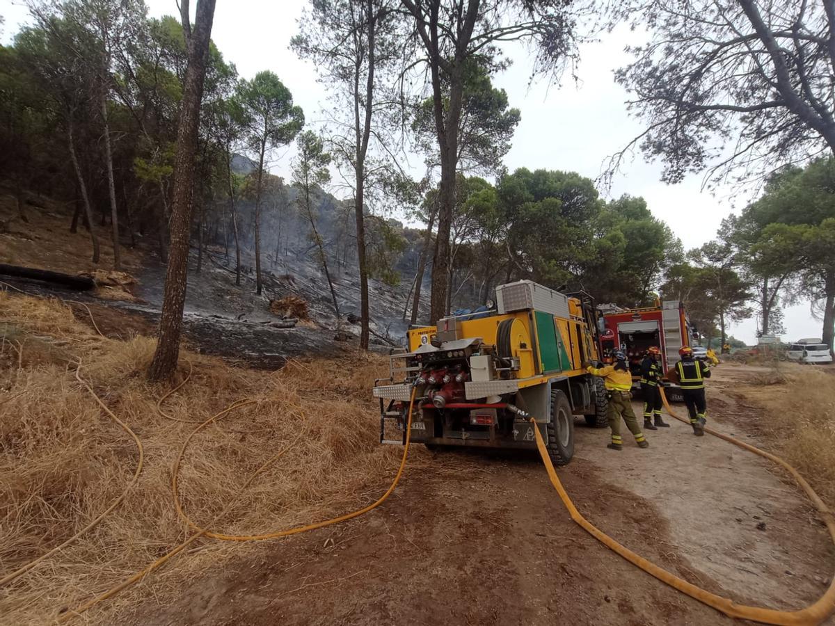 El Infoca combate un grave incendio forestal en Rute El Infoca combate un grave incendio forestal en Rute