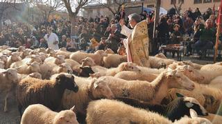Sant Antoni 2023: Las 'beneïdes' marcan la jornada festiva en la Part Forana