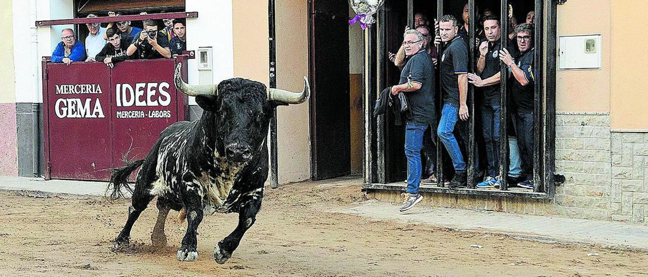 Las fiestas patronales de la Sagrada Familia y el Santísimo Cristo de la Vall d’Uixó incluirán nueve exhibiciones.