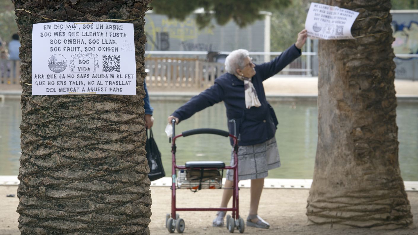 Una señora consulta, meses atrás, uno de los carteles contra la tala de árboles prevista en la primera planificación, que situaba la carpa junto al lago.