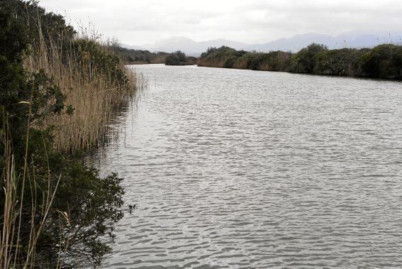 Das Naturschutzgebiet S'Albufera wird 30 Jahre alt - und steckt in einer tiefen Krise. Umweltschützer schlagen Alarm, die Politik bleibt weitgehend untätig.