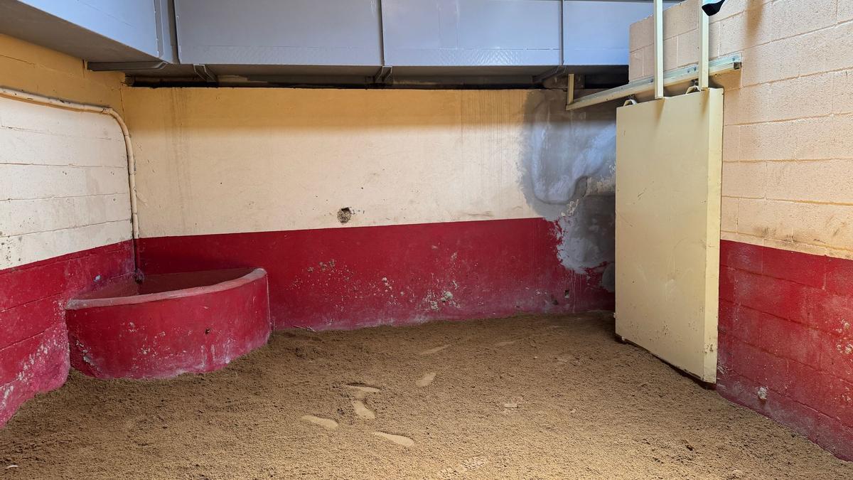 Una de las cámaras instaladas dentro del toril de Benavente