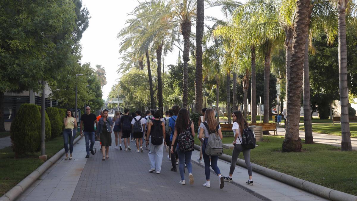 Campus de Vera de la Universitat Politècnica de València (UPV)