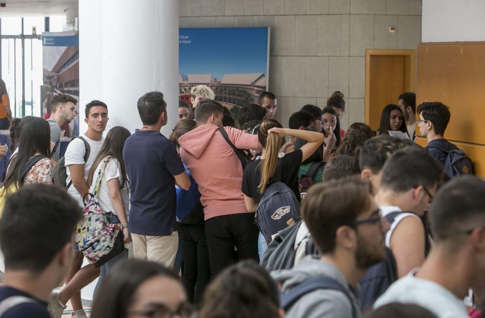 En la Universidad de Alicante se han examinado 3.494 estudiantes