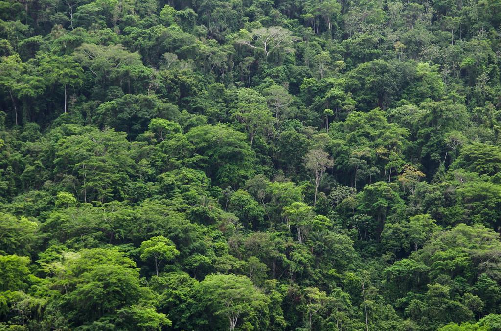 Parque Nacional Natural Tayrona, Colombia