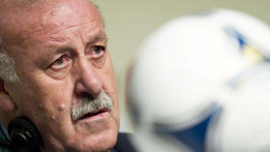 El seleccionador de fútbol de España, Vicente del Bosque.