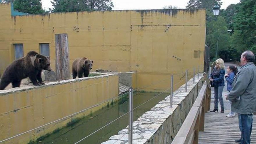Visitantes de Vigozoo pasan ayer por delante del recinto de los osos.  // Ricardo Grobas