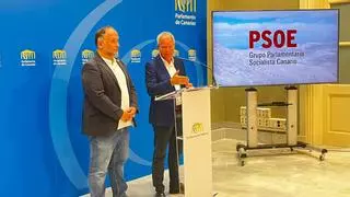 El PSOE acusa al Gobierno canario de desinflar la Ley de Cambio Climático para "ganar dinero" con las energías renovables
