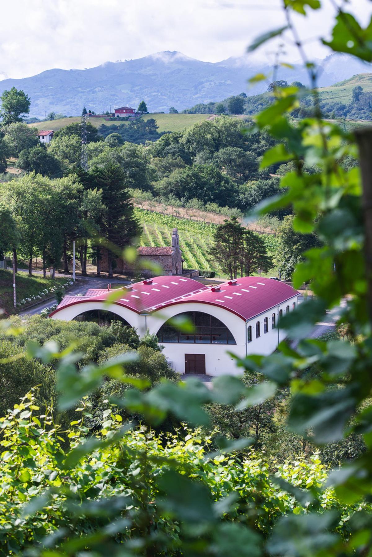 Una vista de las bodegas del Palacio de Nevares