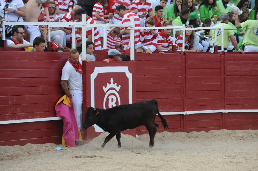 Becerrada, encierros y vaca de la sangría