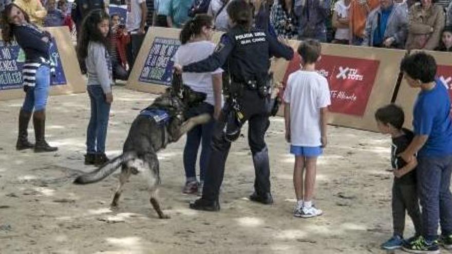 Jornada por una tenencia responsable de mascotas