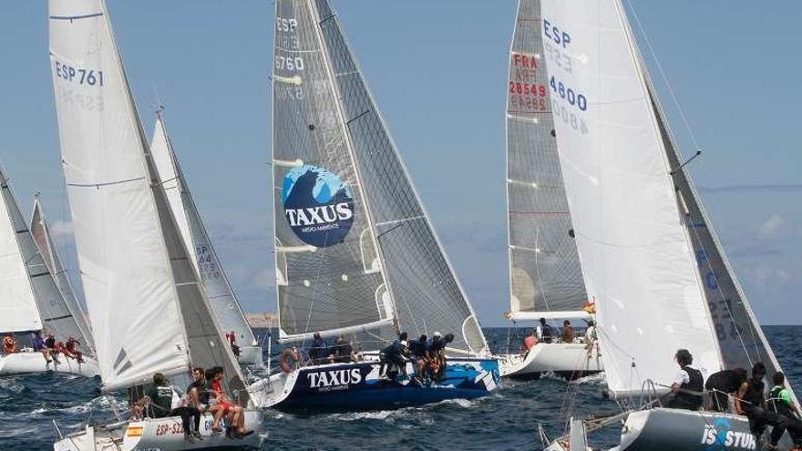 Cruceros durante una de las regatas del pasado año.