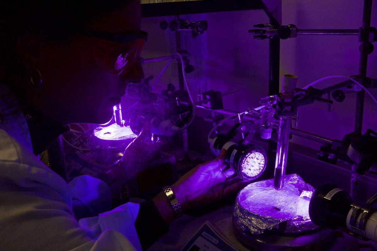 Trabajo con luz ultravioleta.