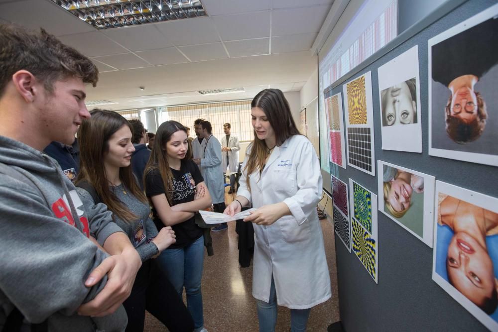 Los investigadores del Instituto de Neurociencias muestran cómo es su trabajo