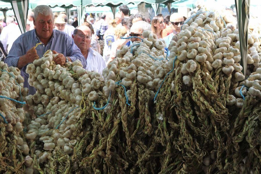 Feria del Ajo en Zamora: antes y ahora