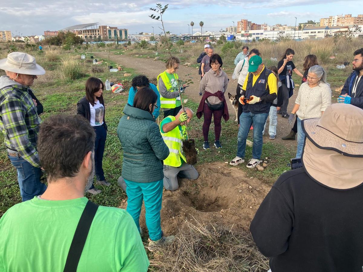 Voluntarios de la plataforma Bosque Urbano Málaga plantan 60 árbolesen los antiguos terrenos de Repsol