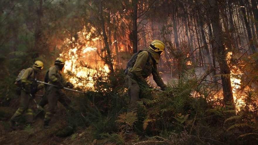 Incendio registrado el pasado octubre en Pontevedra. // Ricardo Grobas