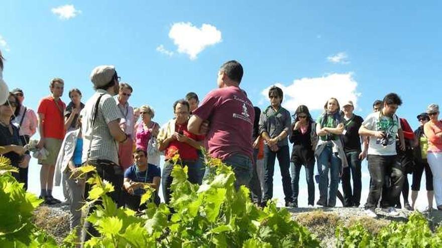 Miguel Jiménez presume de estar al frente de una de las viñas ecológicas de la comarca de la Axarquía.