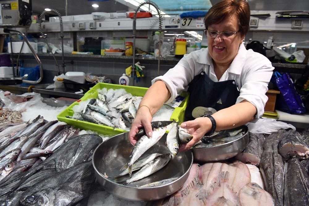 San Juan A Coruña 2017: Sardinas en las plazas