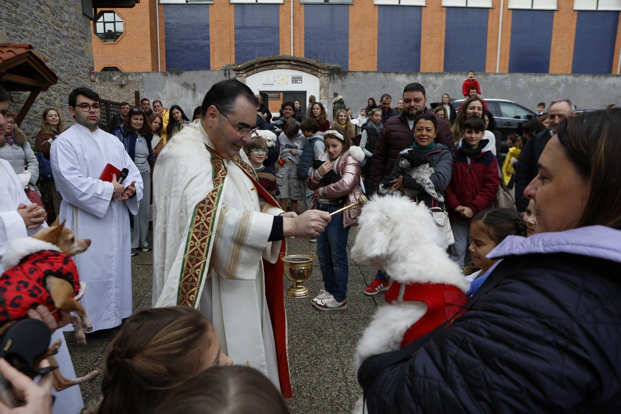 Bendición mascotas en Gijón en la parroquia de Viesques