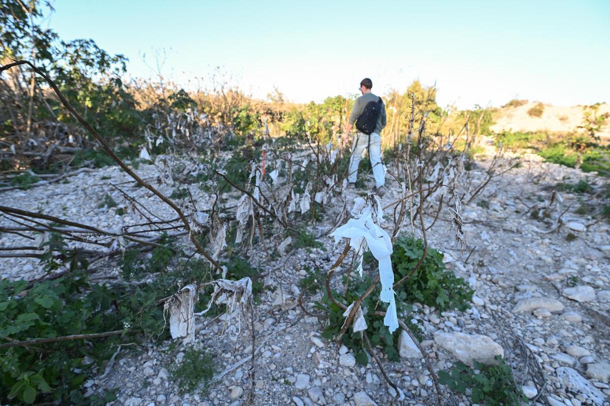 Toallitas húmedas en el entorno del azud.
