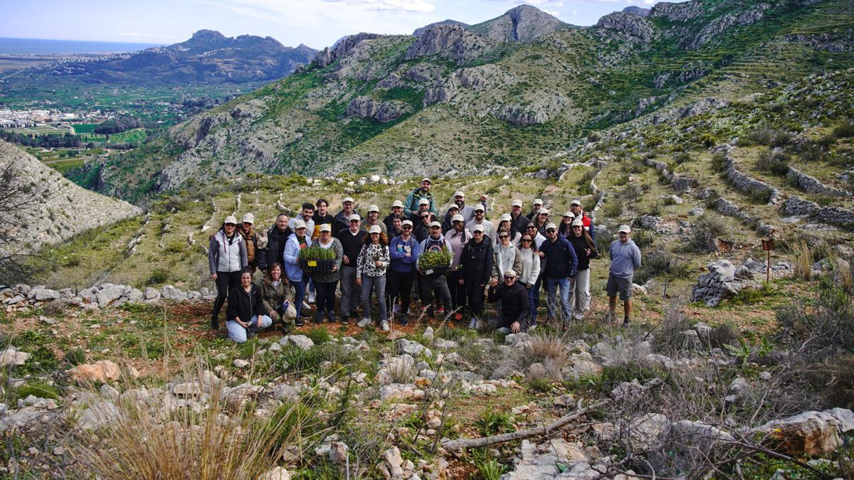 La actividad, realizada en colaboración con Desert Leaves, contribuye a la restauración de esta área de la Marina Alta afectada por dos grandes incendios forestales.