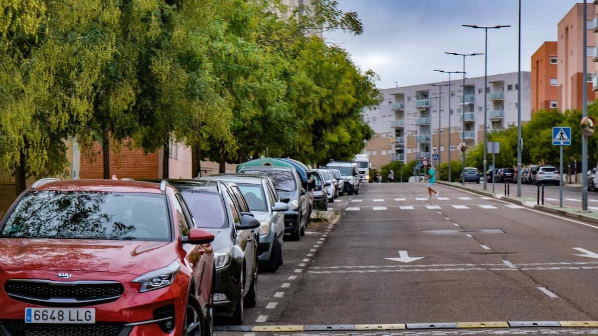 Vehículos estacionados en la avenida de la Independencia, que solicitan que en lugar de en línea se habiliten en batería para ganar plazas.