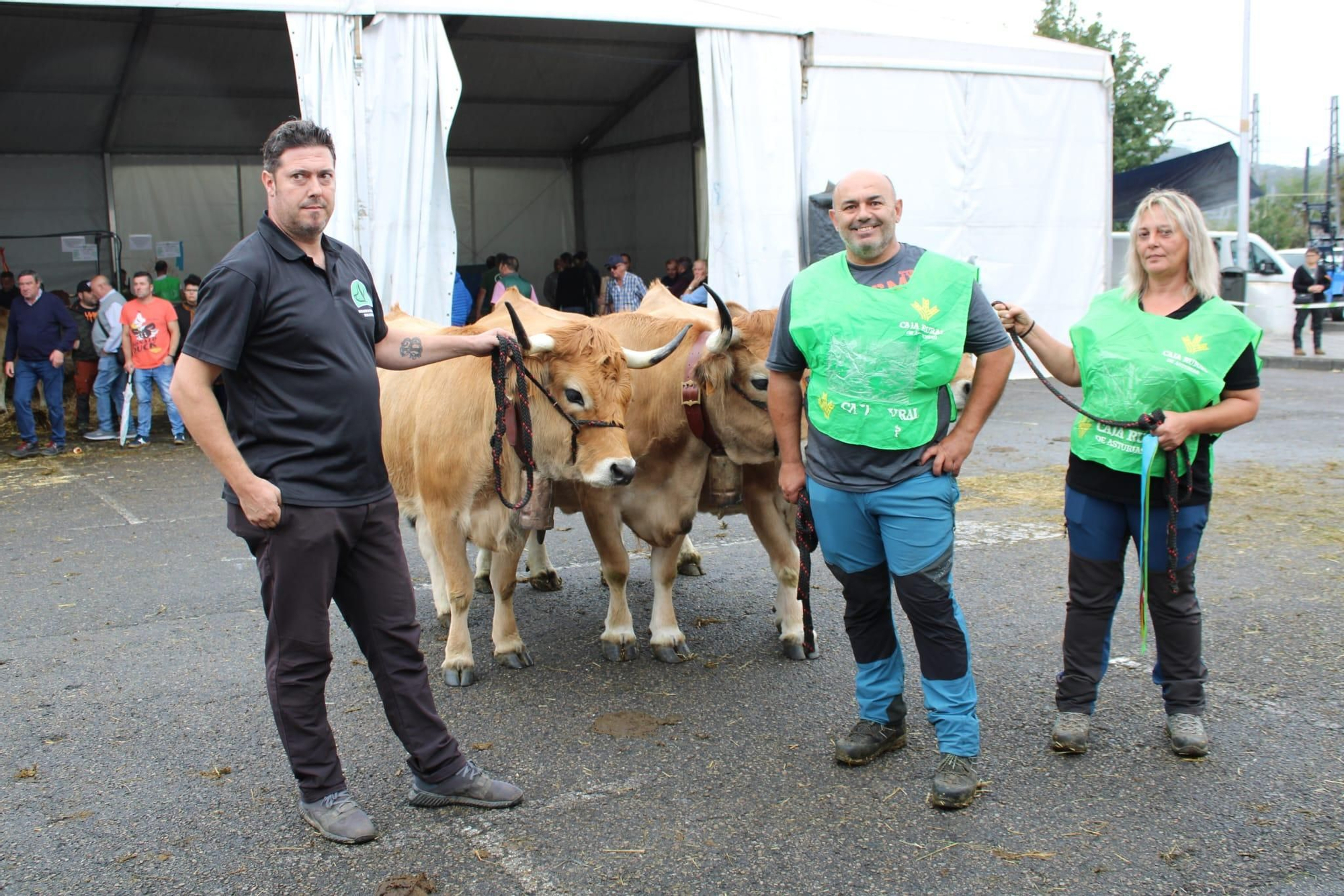 Así es Llangréu Nautral, la feria de las razas autóctonas asturianas que se celebra en pleno centro de Langreo