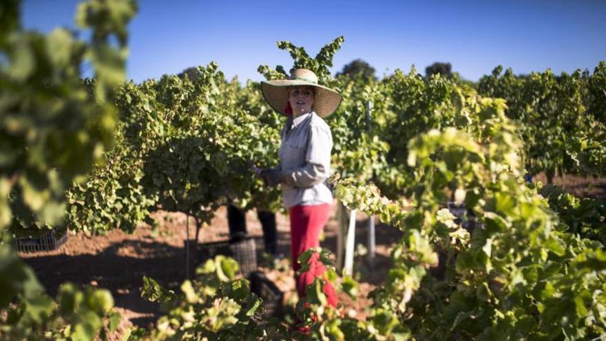 La supervivencia del medio rural no se entiende sin la presencia de la mujer