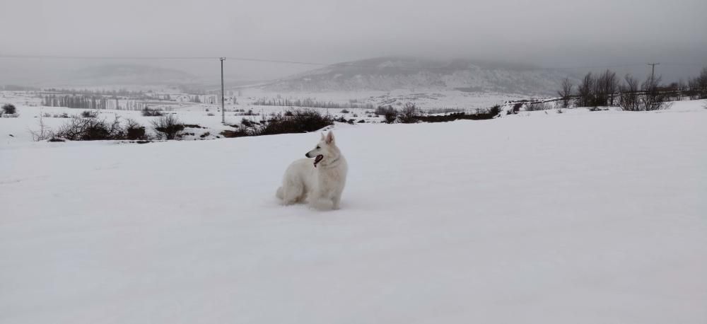 La nieve sigue presente en el Noroeste para este fin de semana