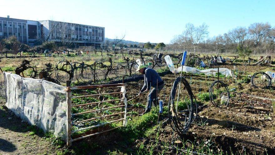 La reapertura de los huertos tradicionales de Plasencia, bloqueada