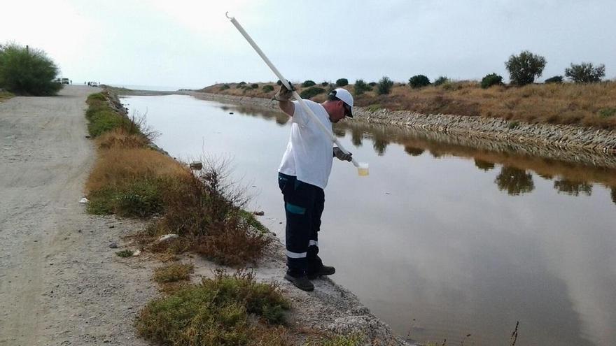 Un técnico analizando la presencia de larvas en el Guadalhorce.