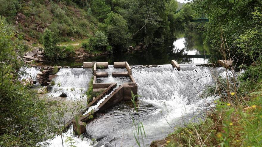 El embalse del Pontillón de Pontevedra llega a las puertas del verano con el menor nivel desde 2022