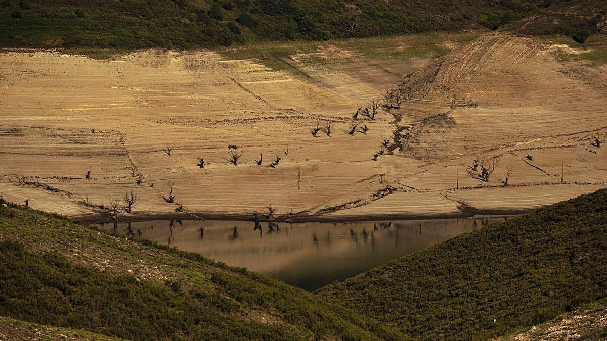 Estado del embalse de As Portas, en Vilariño de Conso, el pasado 20 de agosto. |   // BRAIS LORENZO