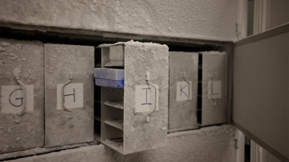 Las muestras microbianas recogidas bajo los auspicios de la Iniciativa Microbiota Vault se almacenan temporalmente en condiciones criogénicas en el Instituto de Microbiología Médica de la Universidad de Zúrich, en Suiza.