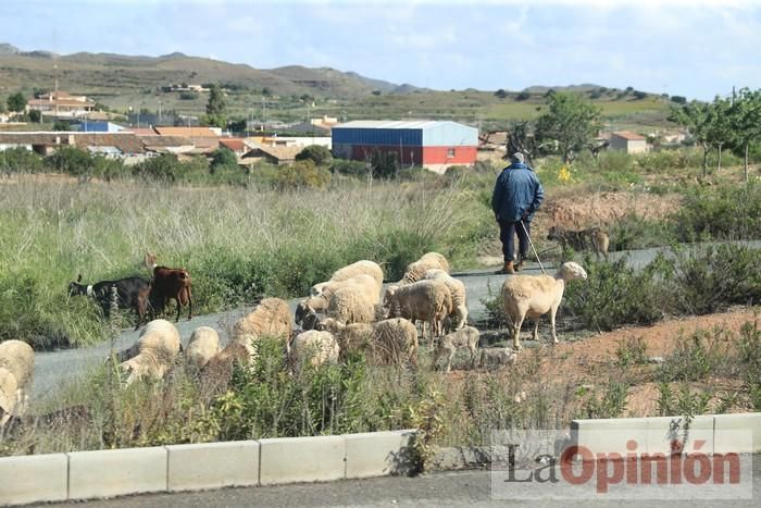 Limpian Los Alcázares tras las fuertes lluvias de los últimos días