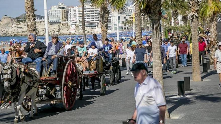 Benidorm festeja con una romería Sant Isidre