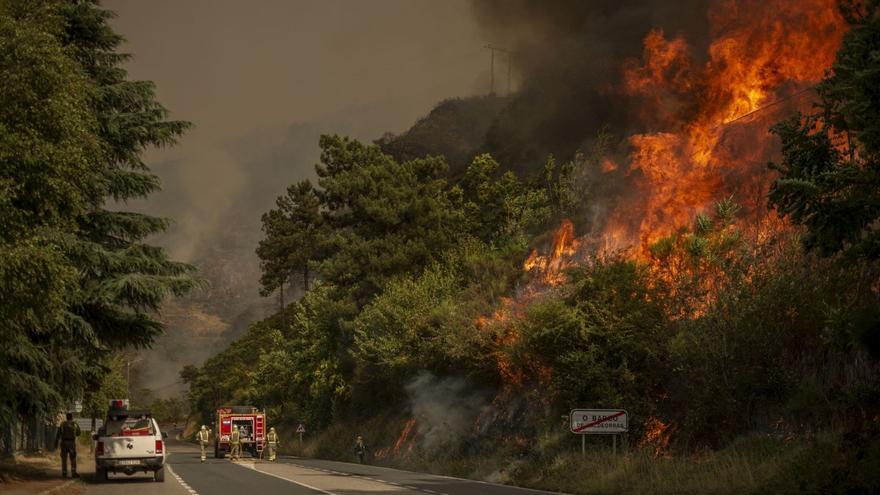 El coste de los grandes incendios: 12 millones en extinción más 60 millones en madera en 2022