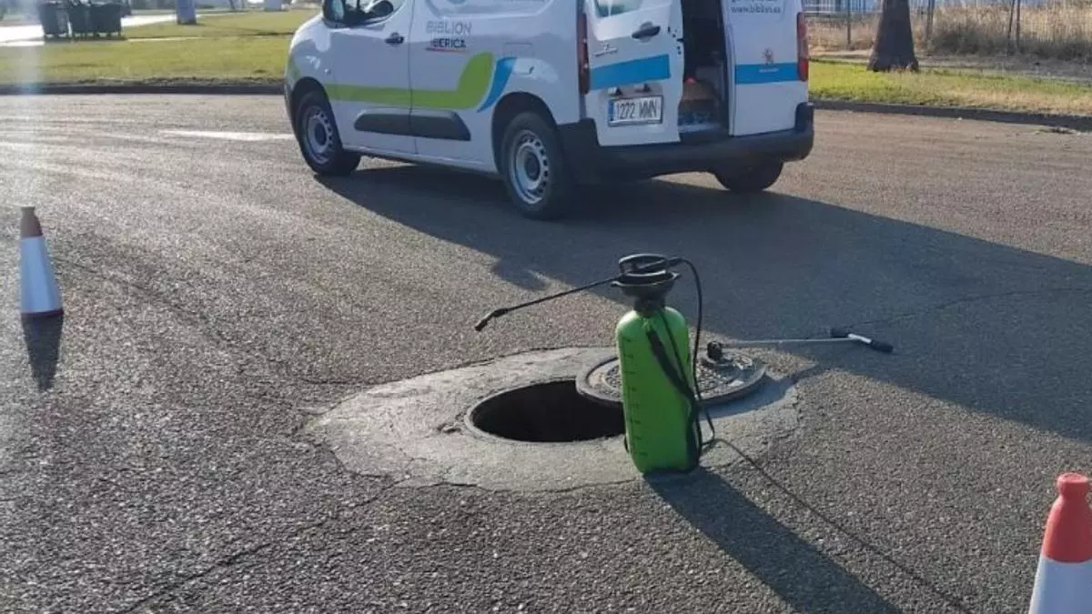 Intensifican los tratamientos para reducir el número de cucarachas en Don Benito