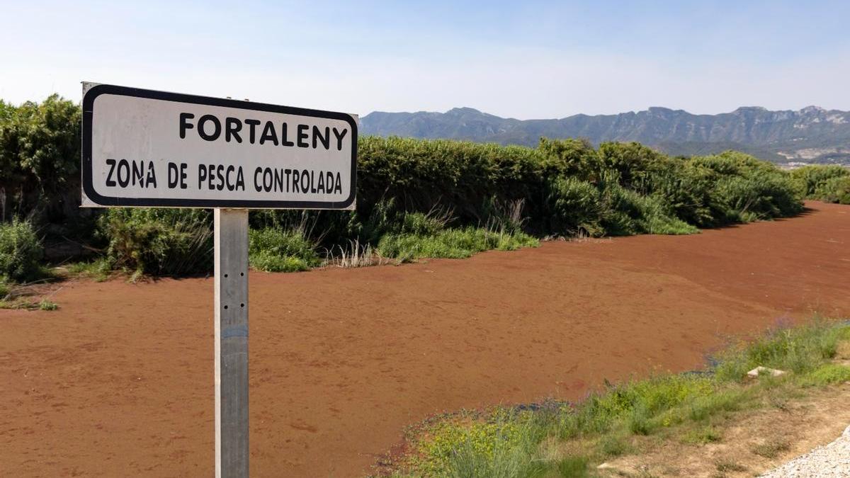 El coto de pesca de Fortalent, totalmente cubierto por la Azolla, en una imagen del lunes.