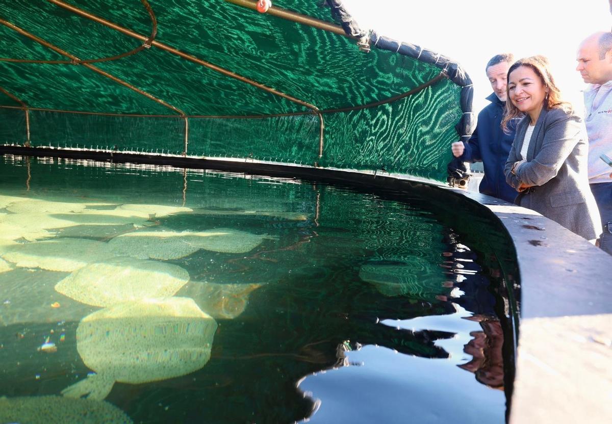Marta Villaverde, este martes nas instalacións de Stolt Sea Farm, en Carnota.