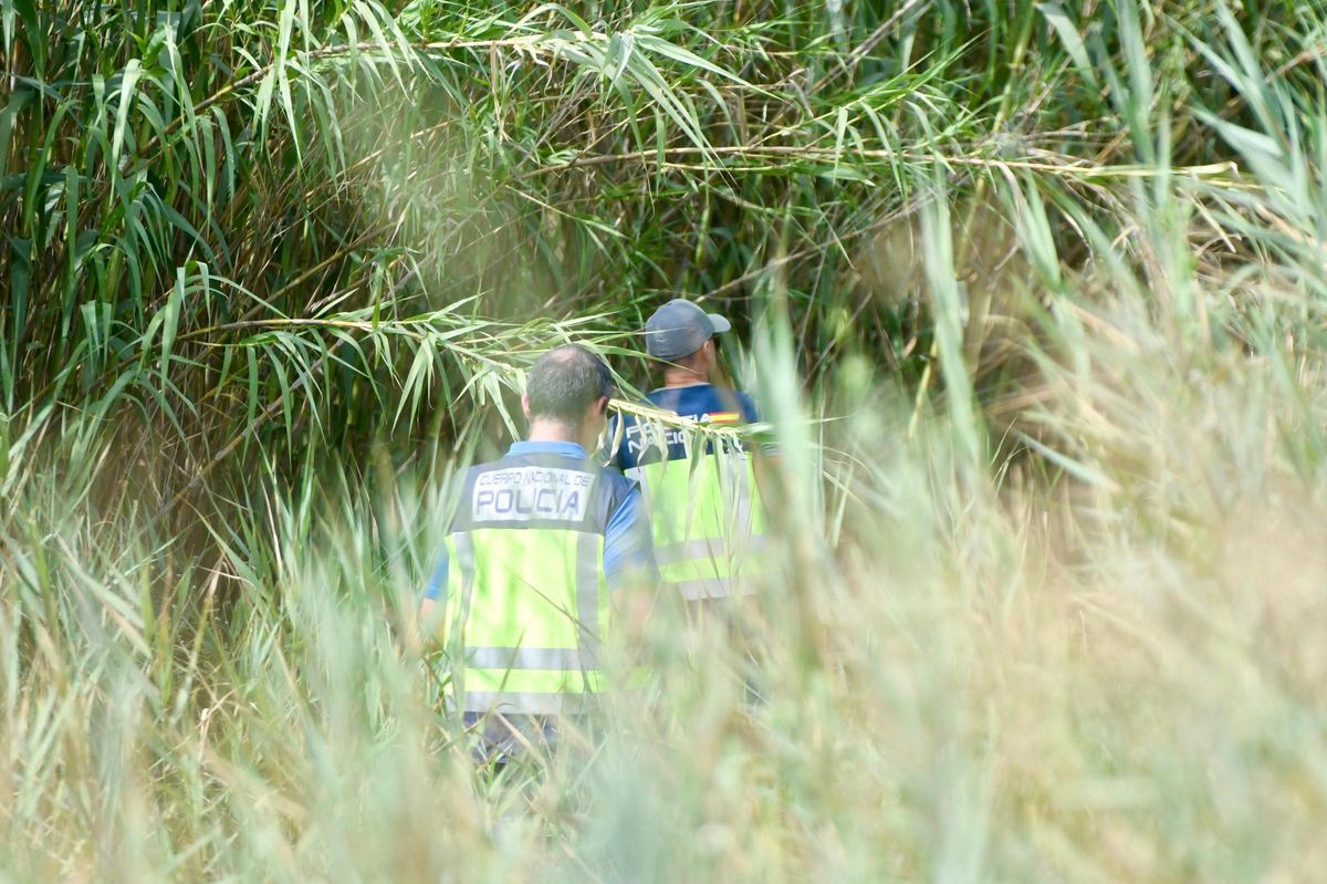 Agentes de la Policía Nacional participan en el dispositivo de búsqueda