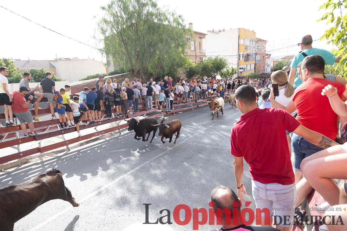 Séptimo encierro de las Fiestas de Moratalla