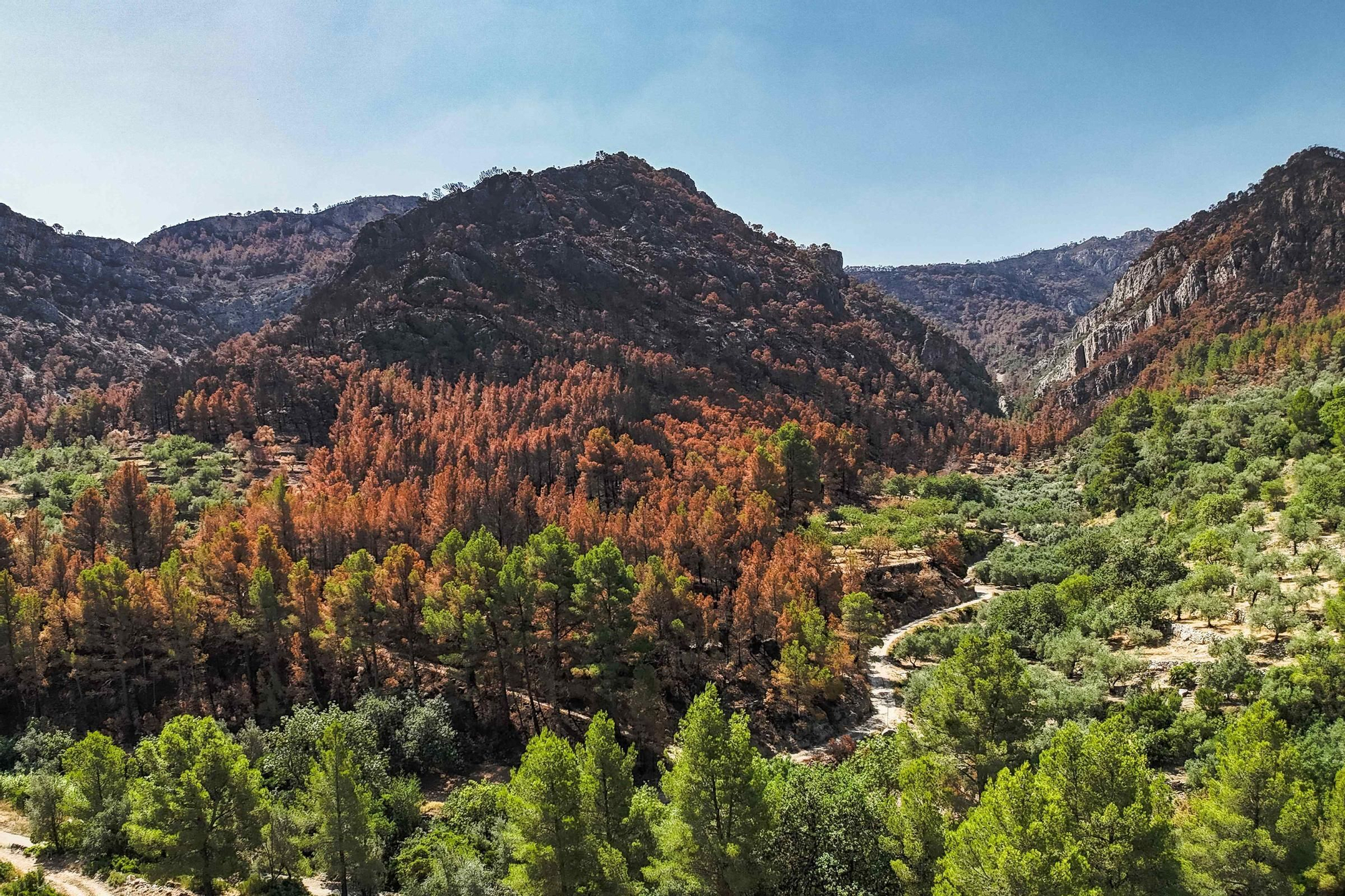 Les fotos de l'incendi de Paüls a vista de dron