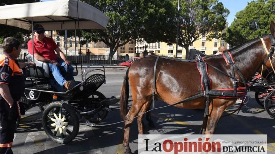 Ruta a caballo desde la ciudad al corazón de la huerta