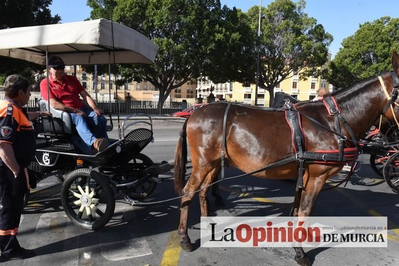 Ruta a caballo desde la ciudad al corazón de la hu